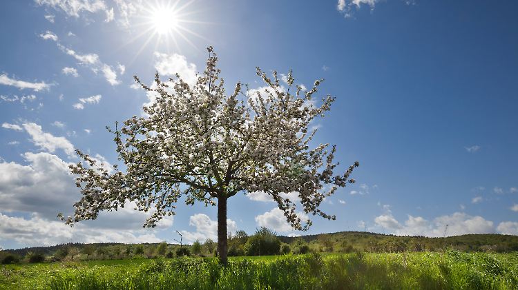 Bis der Frühling auch biologisch Einzug gehalten hat, vergehen noch einige Wochen.