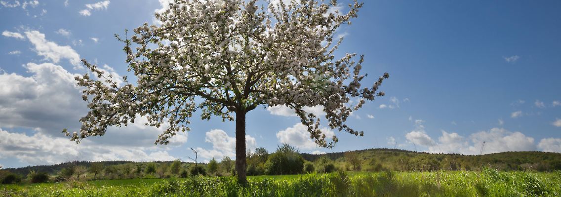 Bis der Frühling auch biologisch Einzug gehalten hat, vergehen noch einige Wochen.