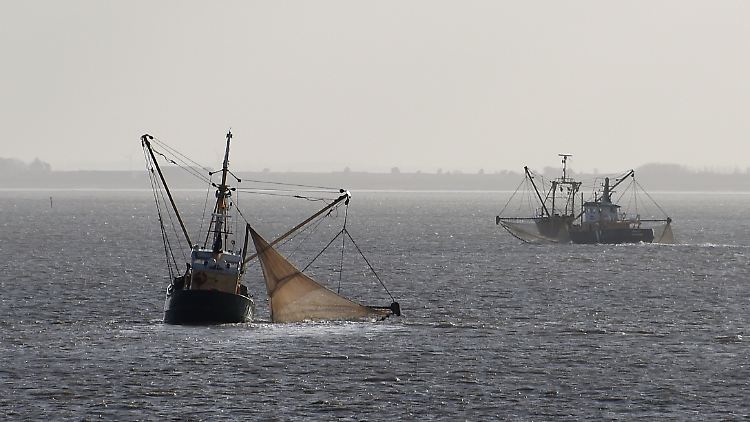 Zwei Fischkutter zwischen Sylt und der dänischen Insel Rømø: Nach dem Willen der Umweltministerin soll es bald ganzjährige Schutzzonen in der Nordsee geben.