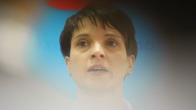 Frauke Petry hat bei Marcus Pretzell abgeschrieben. Sogar Rechtschreibfehler hat sie von ihm übernommen.