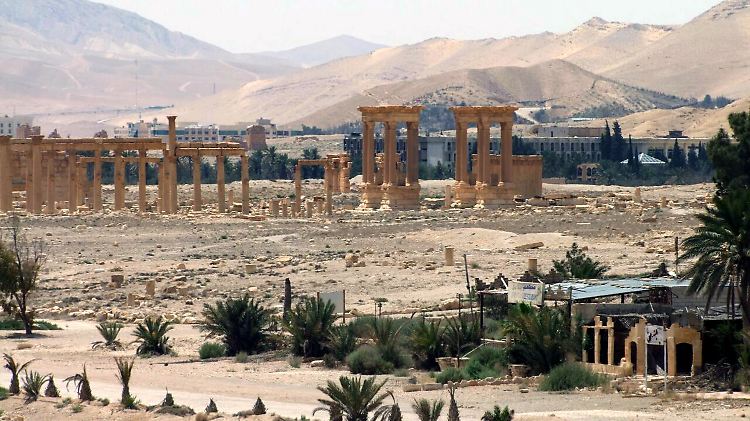 Die berühmten Säulen von Palmyra.