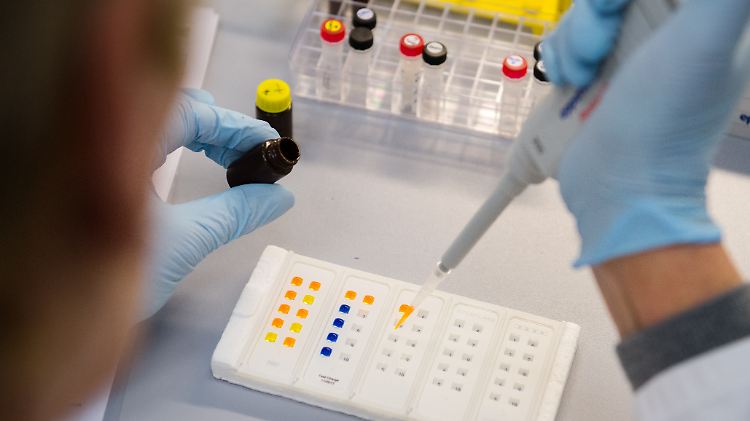 Das Zika-Virus gibt Wissenschaftlern nach wie vor Rätsel auf.