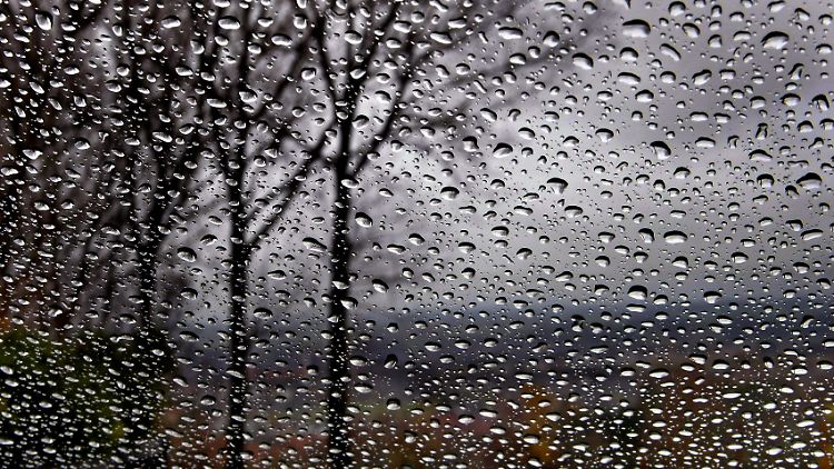 Und plötzlich ist die Welt nur noch grau... Neben den Genen sind zahlreiche weitere Faktoren für Depressionen verantwortlich.