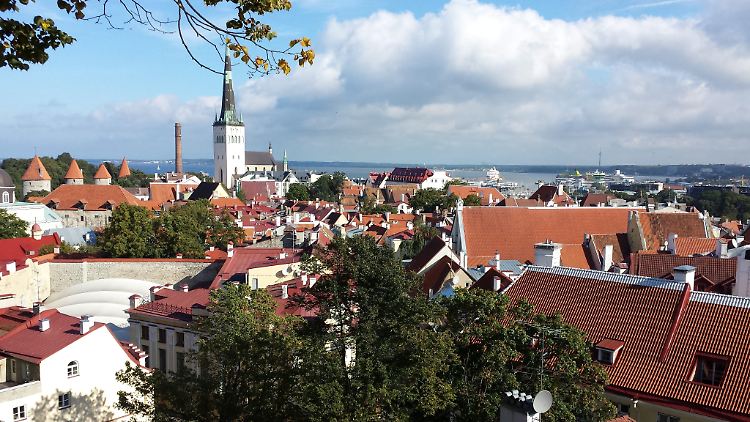 Estland wird doch keine eigene Kryptowährung haben.