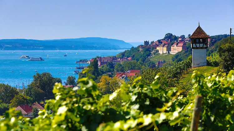 Die Fahrradtour rund um den Bodensee führt vorbei an alten Schlössern und durch Weinreben.