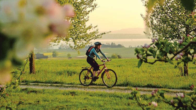 Die Radwege rund um den Bodensee bieten oft einen herrlichen Ausblick bis zum Alpenrand.