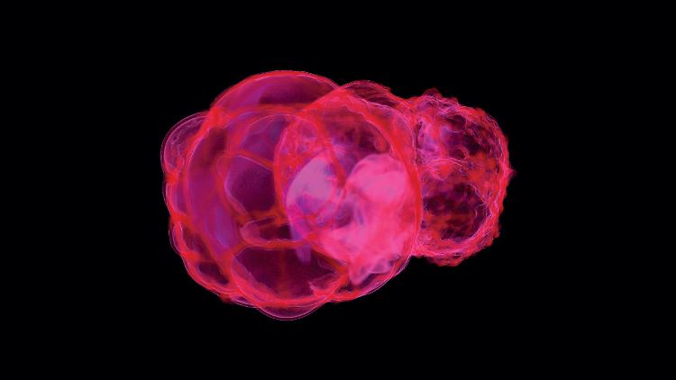 Massendichteverteilung des Eisen-Isotops 60FE in der "Lokalen Blase" (im Vordergrund) und Loop-I-Superblasen vor 2,2 Millionen Jahren. Die weißlich-rote Bereich in der Nähe der Erde (nicht maßstäblich) in der Simulation stellt Material dar, das durch die jüngsten Supernova-Explosionen verteilt wurde.
