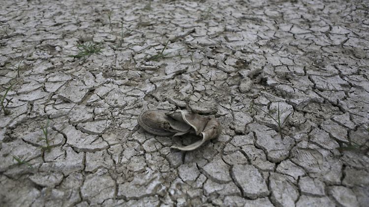 Am Wasserreservoir La Mariposa in Caracas sind die Folgen der extremen Dürre deutlich zu sehen.  