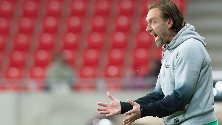 Ganz so viele Zuschauer sind dann in Ungarn meist nicht im Stadion: Thomas Doll.