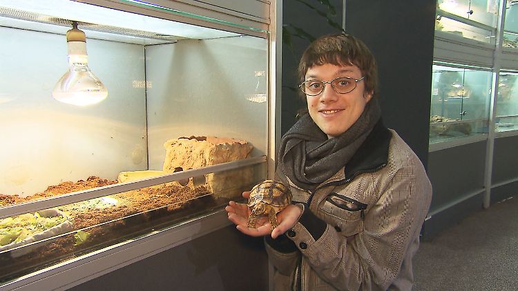 Mag Schildkröten und Fernzüge: Robin