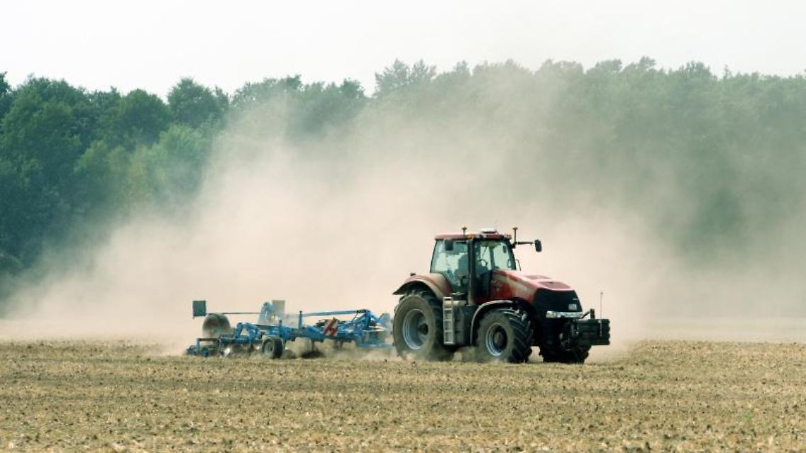 In der Land- und Forstwirtschaft ist mehr als jeder fünfte Mitarbeiter (22 Prozent) Staub ausgesetzt. Foto: Arno Burgi