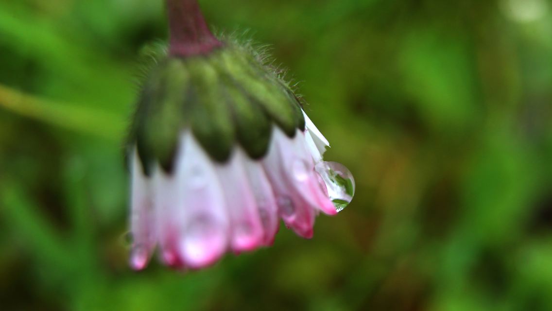 91f575450f06569d5387adcbbf205aae.jpg