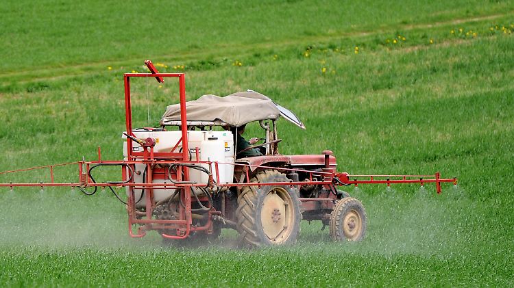 Der Schutz der biologischen Vielfalt soll nach dem Willen von Bundesumweltministerin Hendricks in der EU-Verordnung verankert werden.