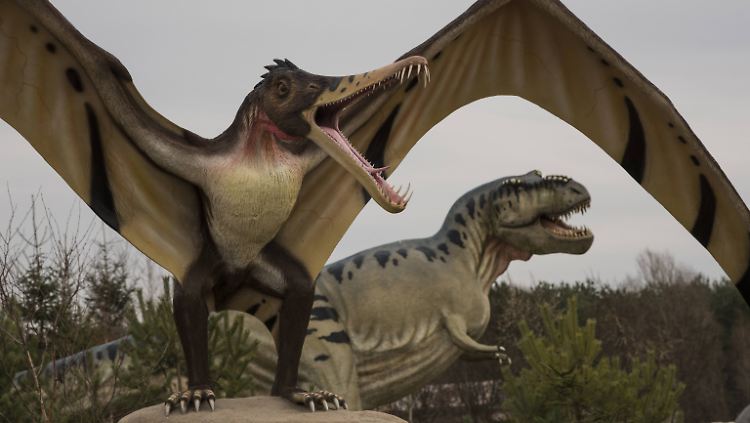 Was genau den Niedergang der Dinosaurier-Vielfalt verursacht hat, sei unklar, so die Wissenschaftler.
