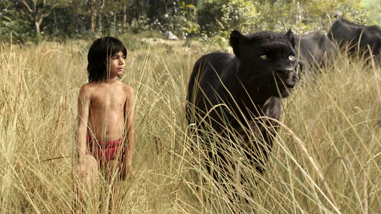 Für sie läuft es rund: Mogli (Neel Sethi) und Baghira in "The Jungle Book".