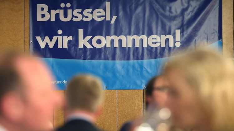 Die AfD ist nach Abspaltung der Alfa-Partei noch mit zwei Abgeordneten in Brüssel vertreten.
