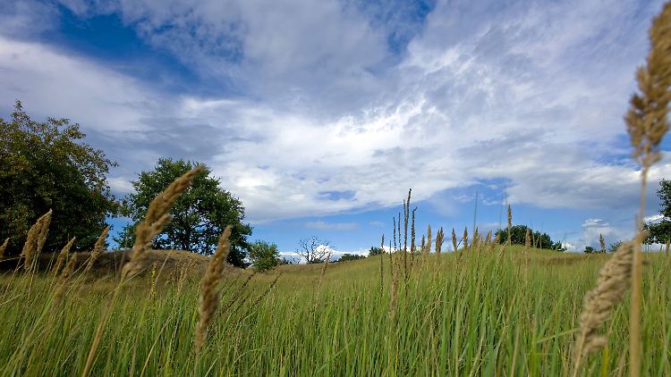Wenig Ablenkung, dafür aber viel Entspannung.