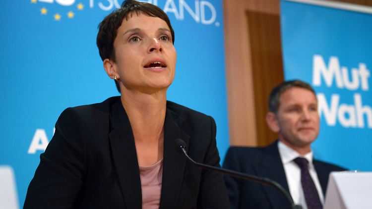 Höcke gegen Petry: Innerhalb der AfD regt sich Widerstand gegen die Parteichefin. 