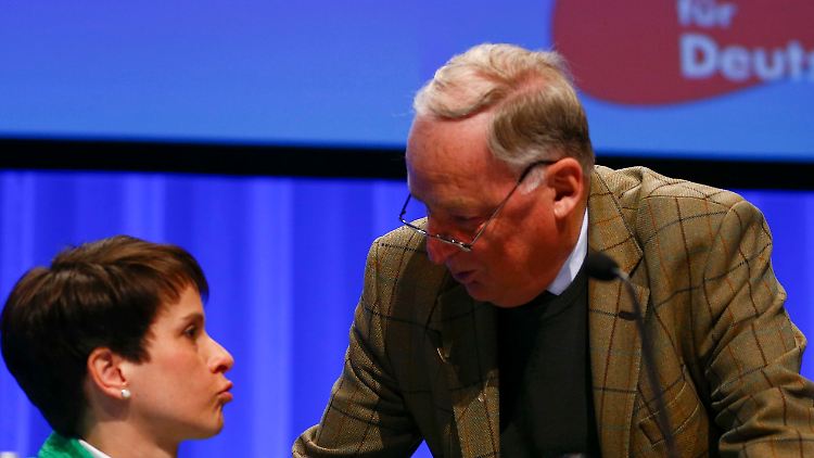 Führen die AfD in die Zukunft: Parteichefin Petry und Vize Gauland.