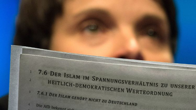 Frauke Petry liest den Entwurf des Grundsatzprogramms.