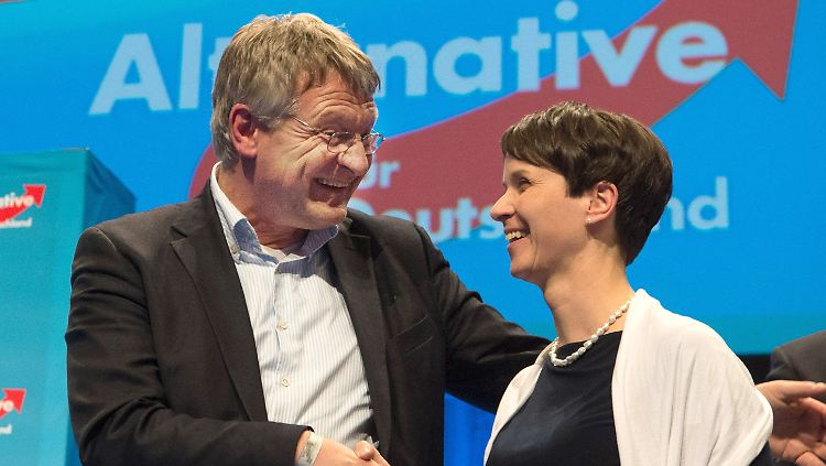 Die beiden Vorsitzenden der AfD: Frauke Petry und Jörg Meuthen. 
