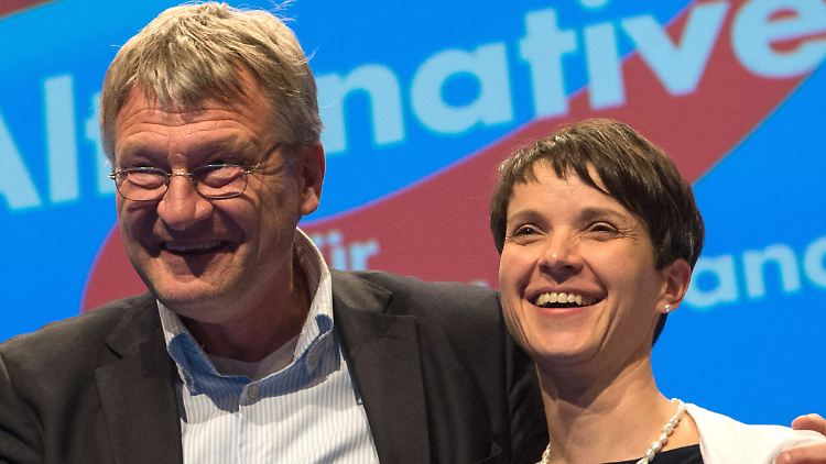 Die beiden AfD-Vorsitzenden Petry und Meuthen auf dem Parteitag.