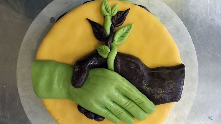Ein symbolträchtiger Kuchen: Ein CDU-Abgeordneter brachte diese Torte zu den Koalitionsverhandlungen mit den Grünen mit.