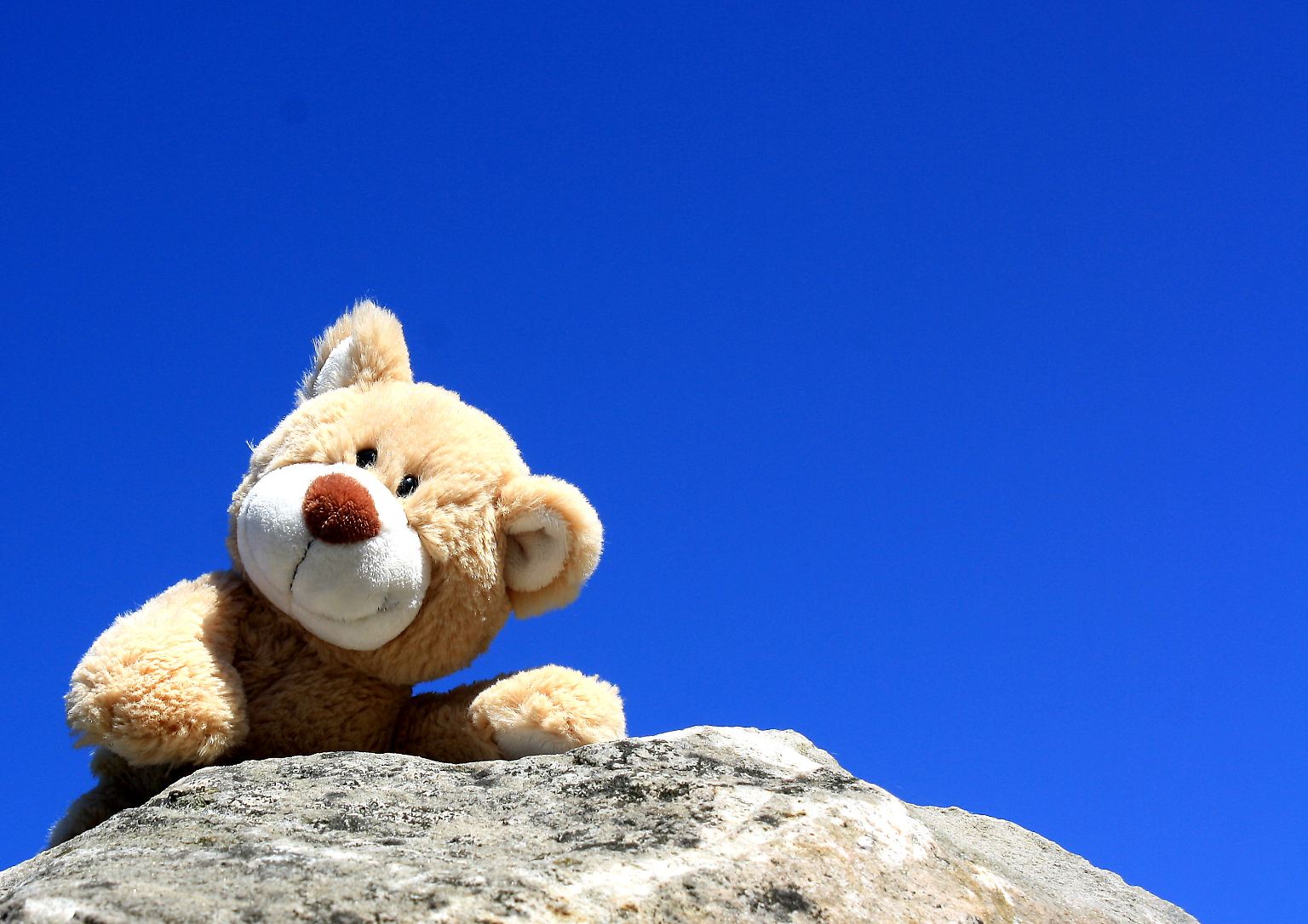 Was ist eigentlich so drin in unserem Kinderspielzeug? Ist der niedlich dreinschauende Teddy vielleicht eine Giftschleuder? Das hat die Stiftung Warentest untersucht - mit erschreckenden Ergebnissen.