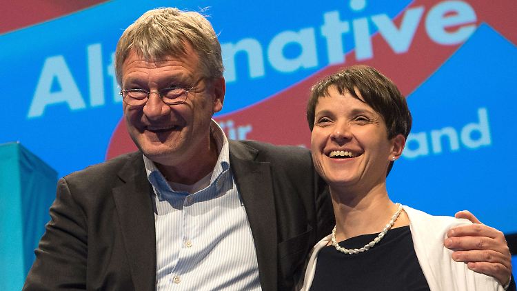 Jörg Meuthen und Frauke Petry wollen Geringverdiener schützen, haben der AfD aber wirtschaftsliberale Ziele verordnet.