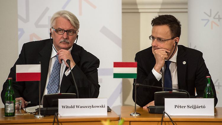 Polens Außenminister Witold Waszczykowski (l.) und sein ungarischer AMtskollege Peter Szijjarto finden markige Worte.