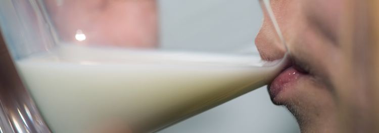 Themenseite: Milch