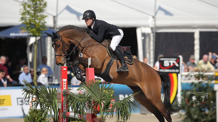 Im vergangenen Monat traten McMahon und Questfinder noch erfolgreich bei einem Turnier an.