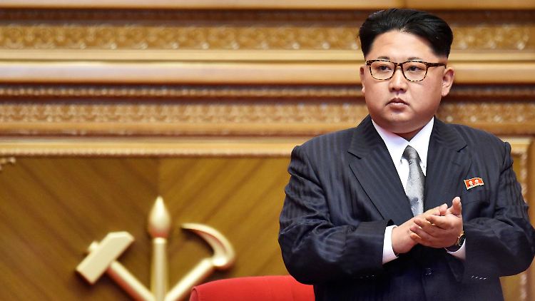Ob der "Große Führer" das Angebot annimmt, ist noch offen. Ein nordkoreanischer Diplomat glaubt jedoch nicht daran.
