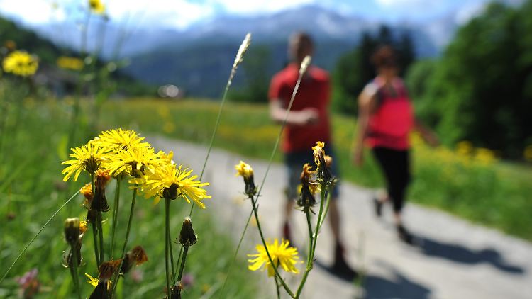 Wandern bedeutet für viele einfach mal abschalten.