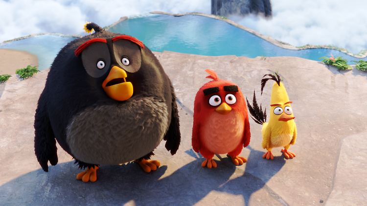 Bombe, Red und Chuck sind im Film "Angry Birds" manchmal wütend, aber das ist schon in Ordnung.
