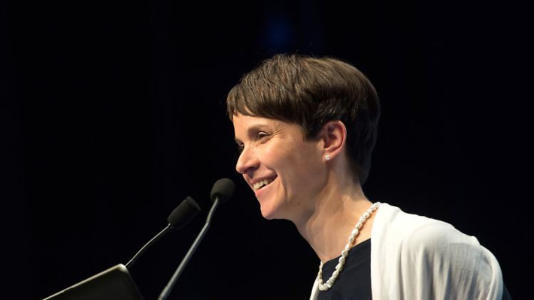 AfDCchefin Frauke Petry beim Parteitag in Stuttgart. In der Adressliste taucht sie nicht auf.