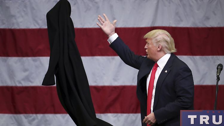 Der republikanische Präsidentschaftskandidat Donald Trump bei einem Wahlkampfauftritt in Rome (Bundesstaat New York). Als Unternehmer hat er bereits mehrere Insolvenzen hinter sich.