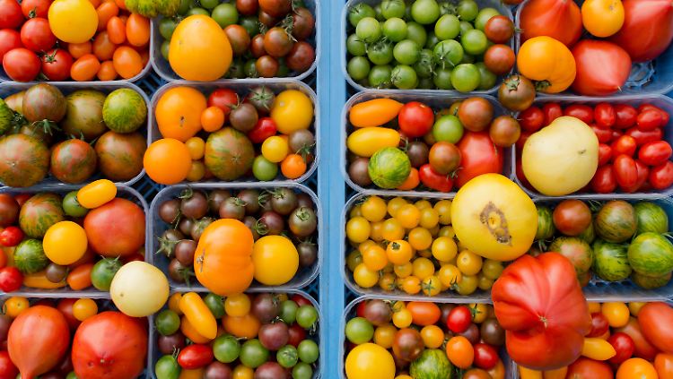 Aus der Vielzahl von Tomatensorten werden immer wieder neue Pflanzen gezüchtet - doch sind diese patentierbar?