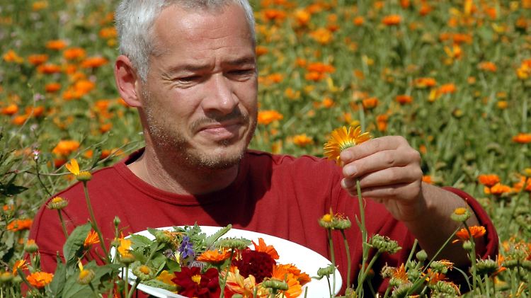 Ralf Hiener in seinem Element: der Suche nach Wildkräutern.