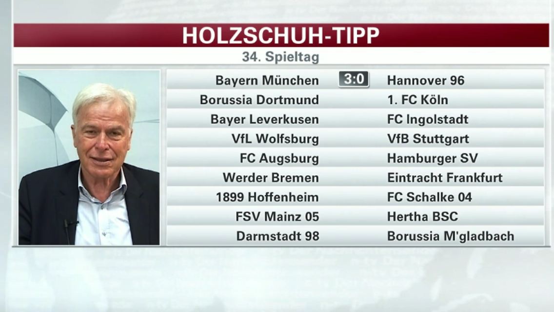 Holzschuh.PNG