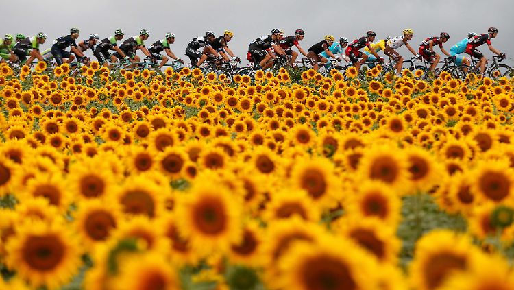 Der schöne Schein, er trägt bei der Tour de France offenbar mal wieder.