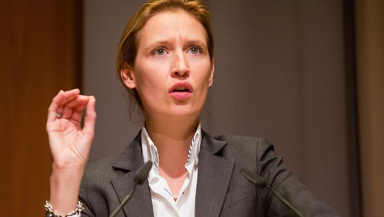 AfD-Vorstandsmitglied Alice Weidel findet nicht gerade diplomatische Worte für ihre Absage.