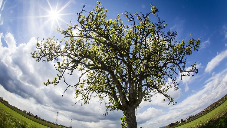 April-Sonne in Deutschland. Besonders warm war der Monat aber in Russland, Alaska, Südamerika und Asien.