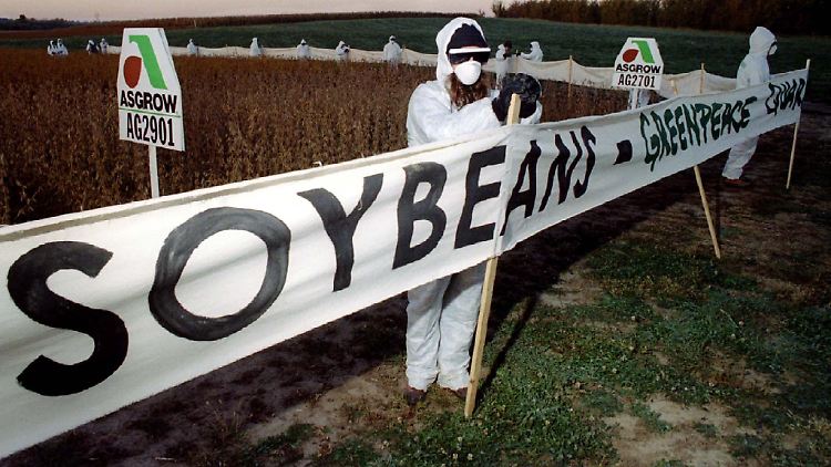 Proteste von Greenpeace auf einer Sojabohnenfarm in Iowa.  