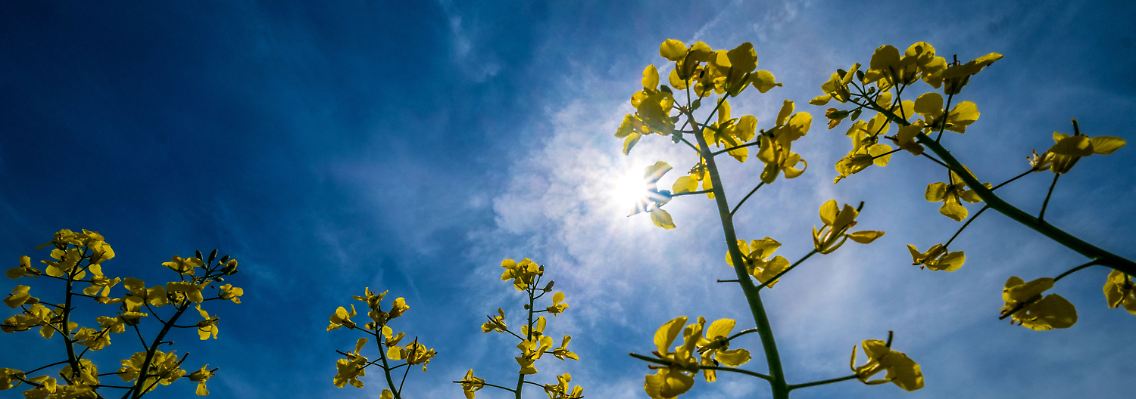 Die Temperaturen sind derzeit in einigen Teilen Deutschlands sommerlich - umso wichtiger ist, sich vor der Hitze zu schützen.