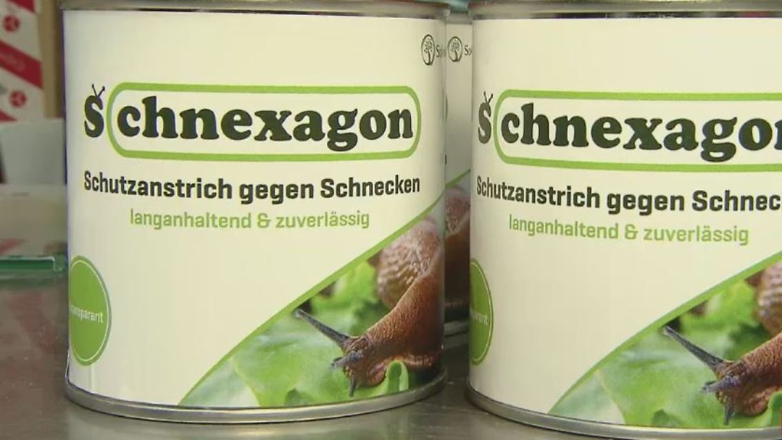 schnexagon.JPG