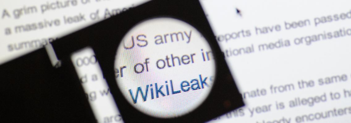 Wikileaks_Lupe.jpg