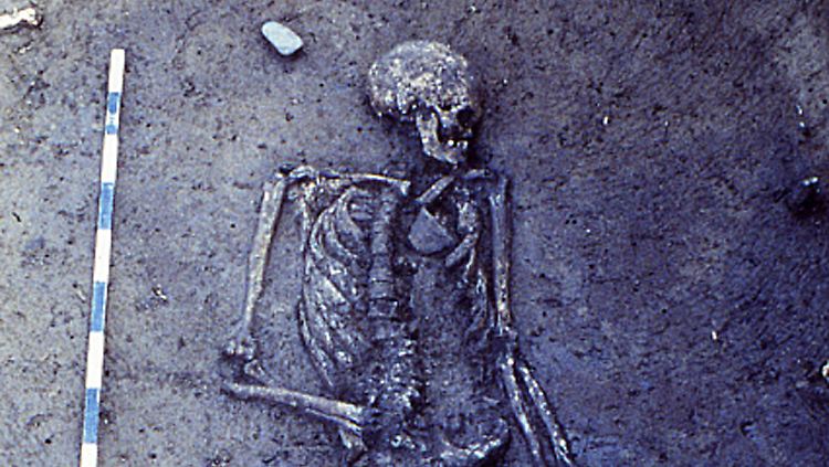 Anhand von Skeletten aus der Zeit der Schnurkeramischen Kultur erforschten Wissenschaftler die Exogamie vor 5000 Jahren.