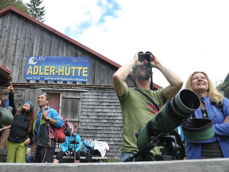 Wanderer beobachten Vögel im Hintersteiner Tal an der Adlerhütte des Landesbundes für Vogelschutz in Bayern.