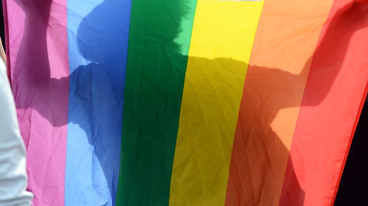 Homo-, Trans- und Bisexualität soll laut der AfD nicht durch Lehrbücher vermittelt werden.